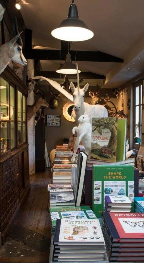 巴黎比你想像得更精彩 彩蛋般的特色图书出租小店