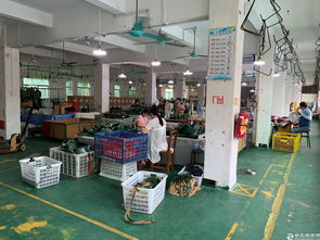 狮岭镇 1700平箱包厂以9元超低单价分租，探索产业空间高效利用新路径